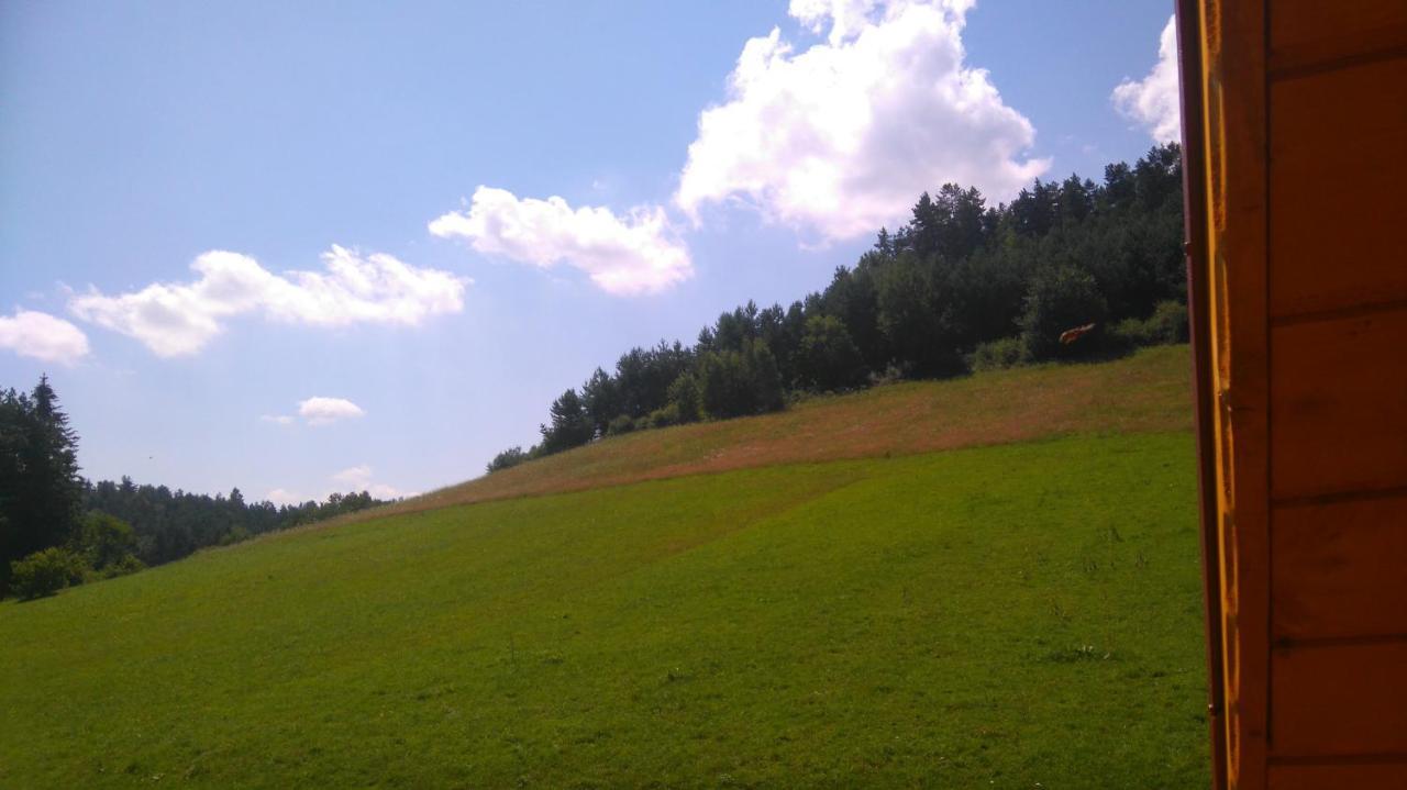 Вилла Przystanek Bieszczady Stankowa Экстерьер фото